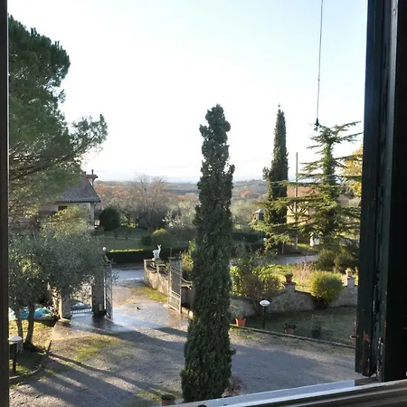Onorina * Cortona