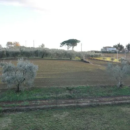 Onorina Cortona